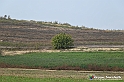 VBS_7625 - Andare lontano, oltre i campi da arare... e ancora più in là